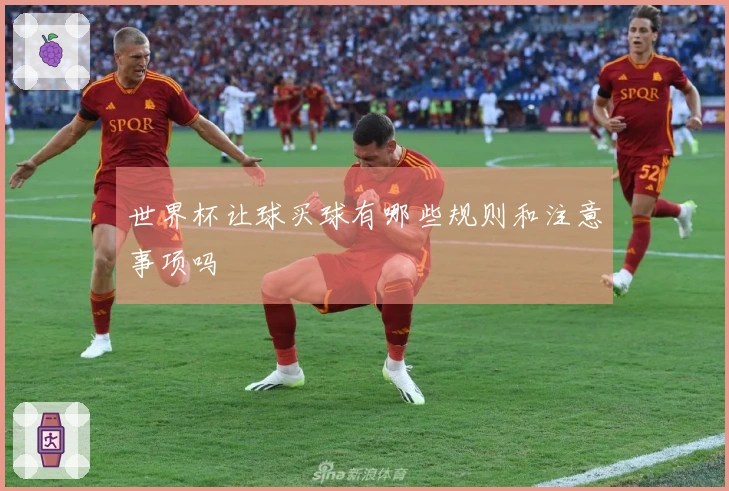 世界杯让球买球有哪些规则和注意事项吗