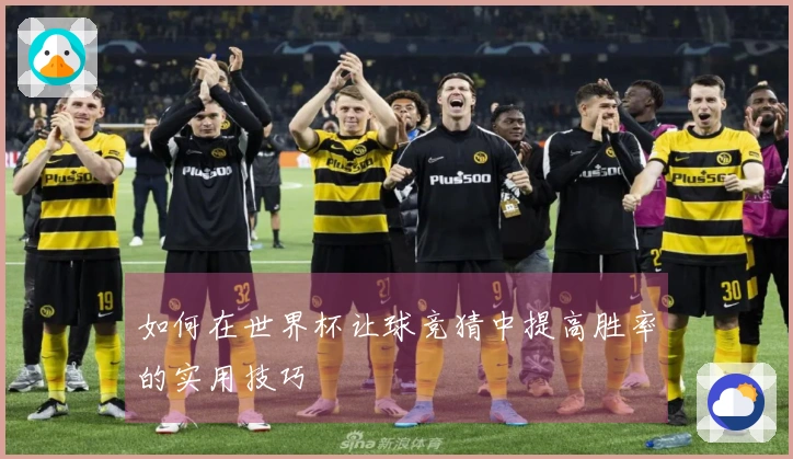 如何在世界杯让球竞猜中提高胜率的实用技巧