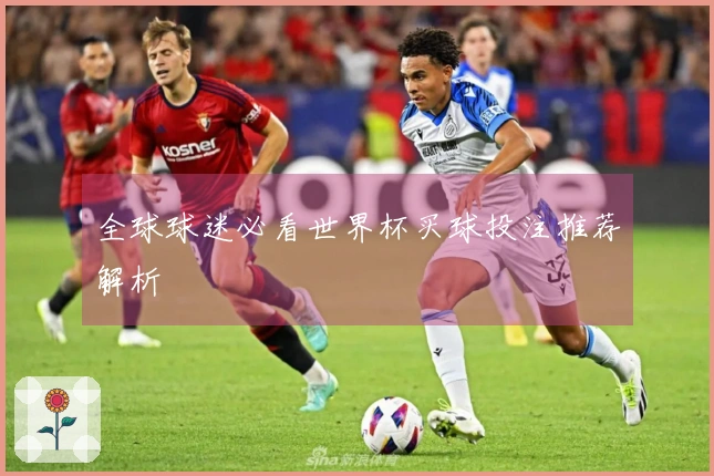 全球球迷必看世界杯买球投注推荐解析