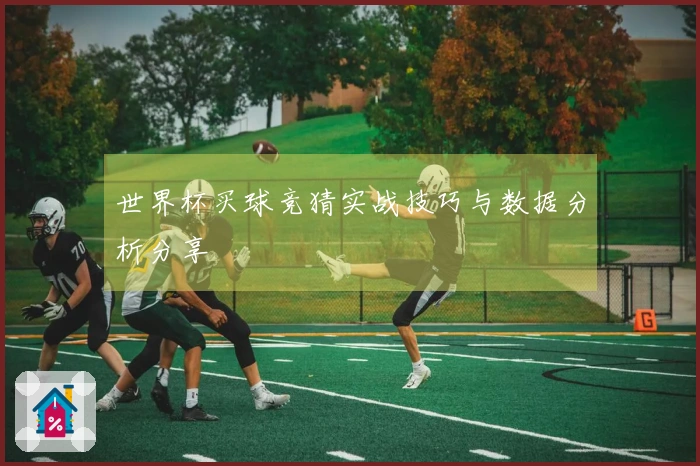 世界杯买球竞猜实战技巧与数据分析分享