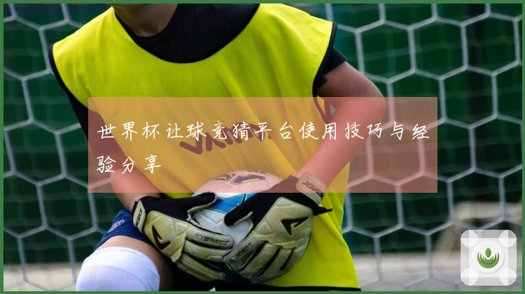 世界杯让球竞猜平台使用技巧与经验分享
