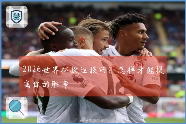 2026世界杯投注技巧，怎样才能提高你的胜率