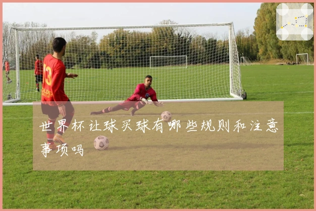 世界杯让球买球有哪些规则和注意事项吗