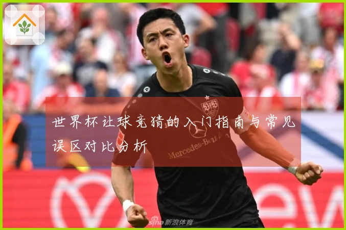 世界杯让球竞猜的入门指南与常见误区对比分析