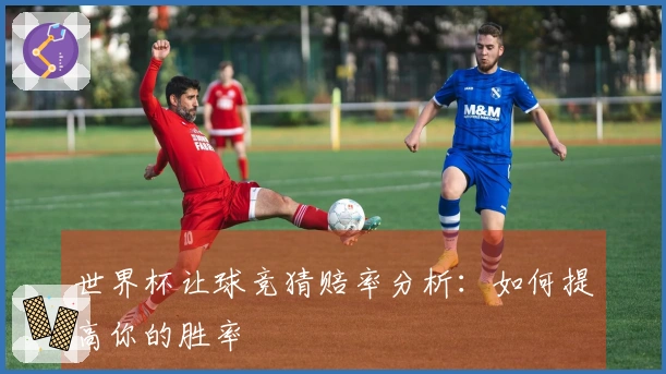 世界杯让球竞猜赔率分析：如何提高你的胜率