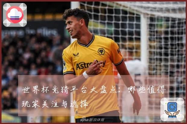 世界杯竞猜平台大盘点：哪些值得玩家关注与选择