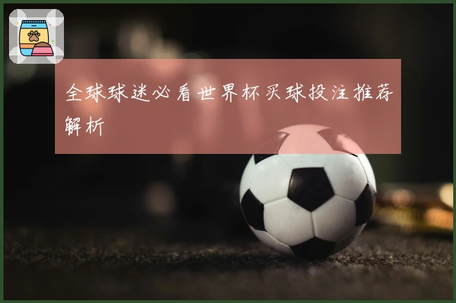 全球球迷必看世界杯买球投注推荐解析